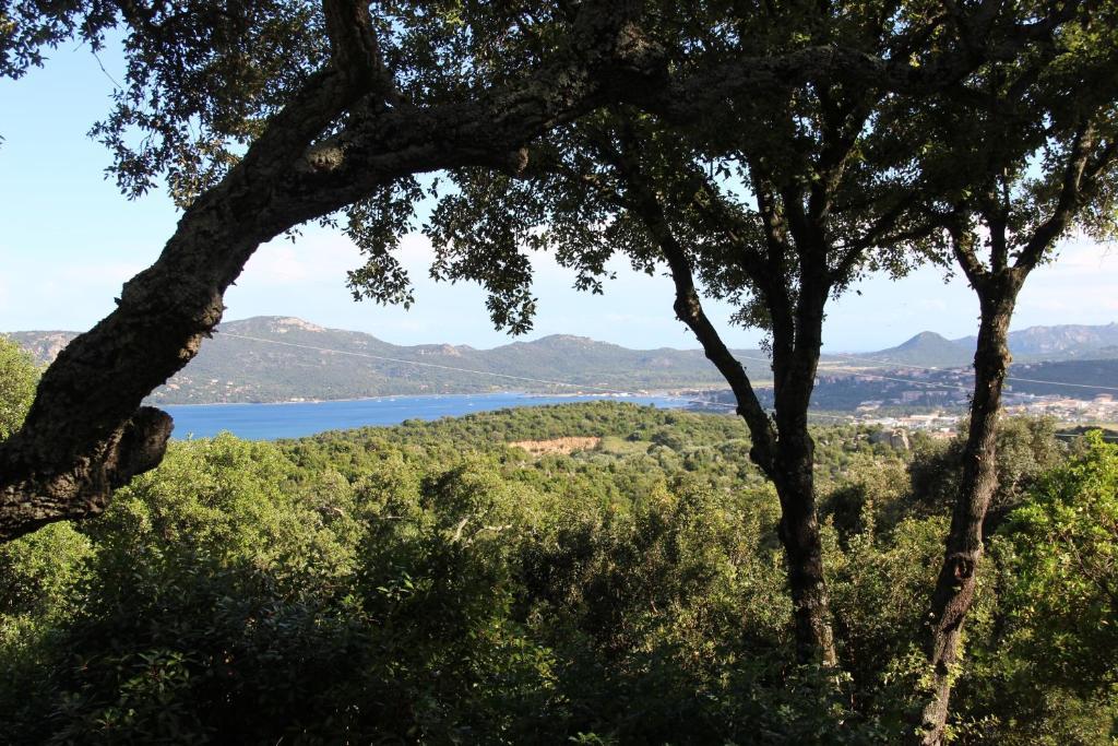 Hotel Les Hauts De Porto-Vecchio الغرفة الصورة